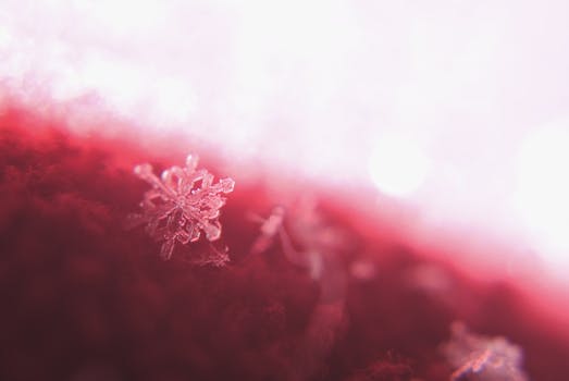 特写镜头下，一片精致的雪花停留在纹理丰富的红色背景上