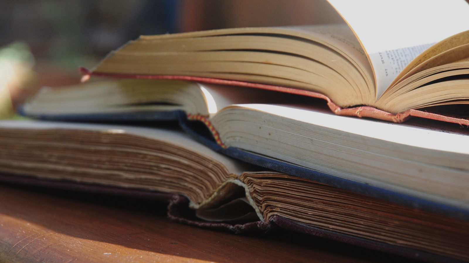 Livros sobre uma mesa.