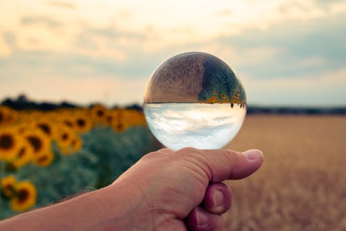 A person holding a glass ball in front of a field