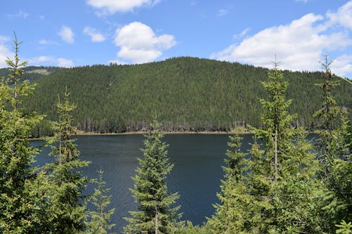 Foto stok gratis alam, dalam, danau