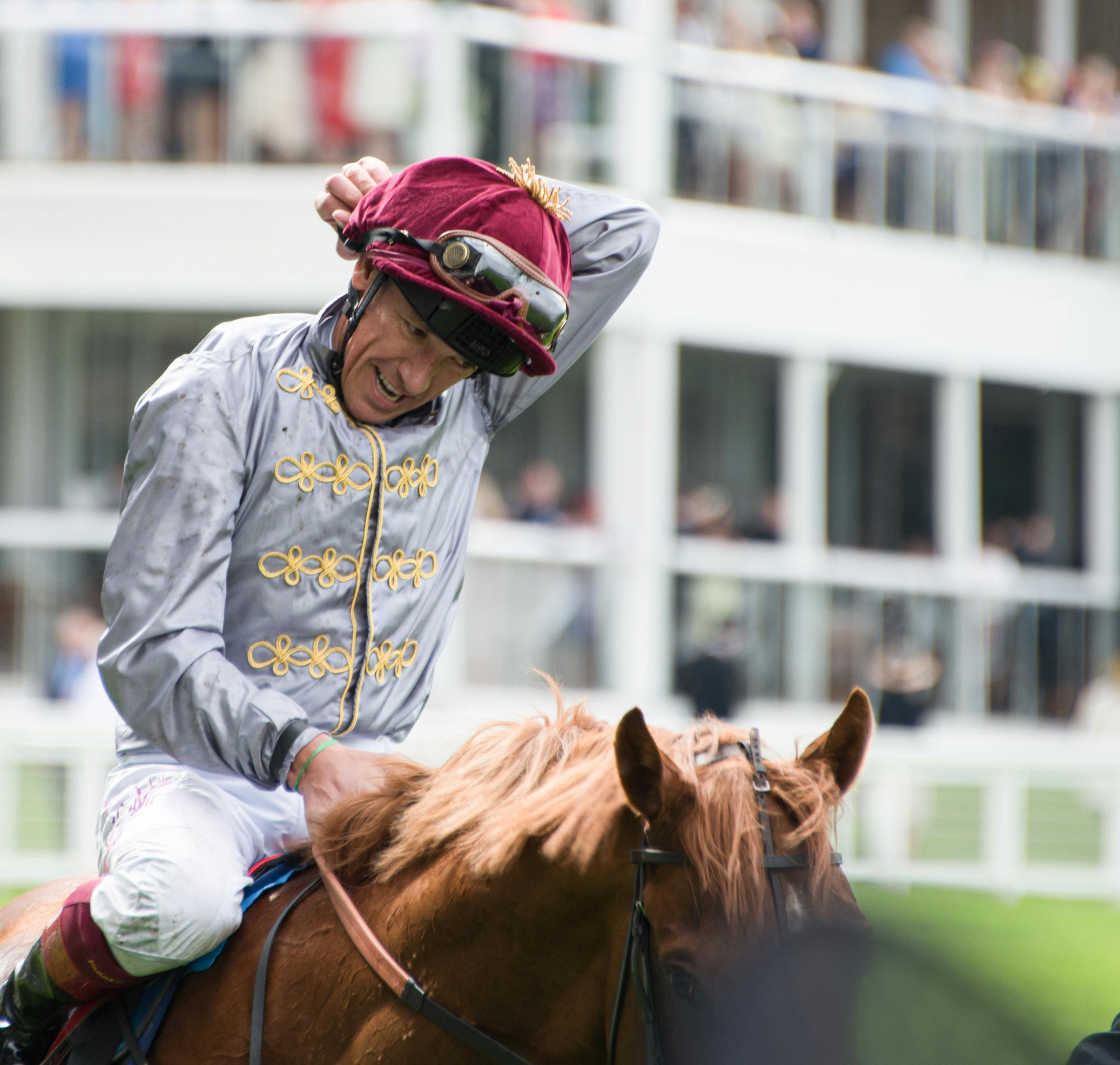 Free Jockey celebrating victory at Ascot Racecourse, England on a thoroughbred horse. Stock Photo
