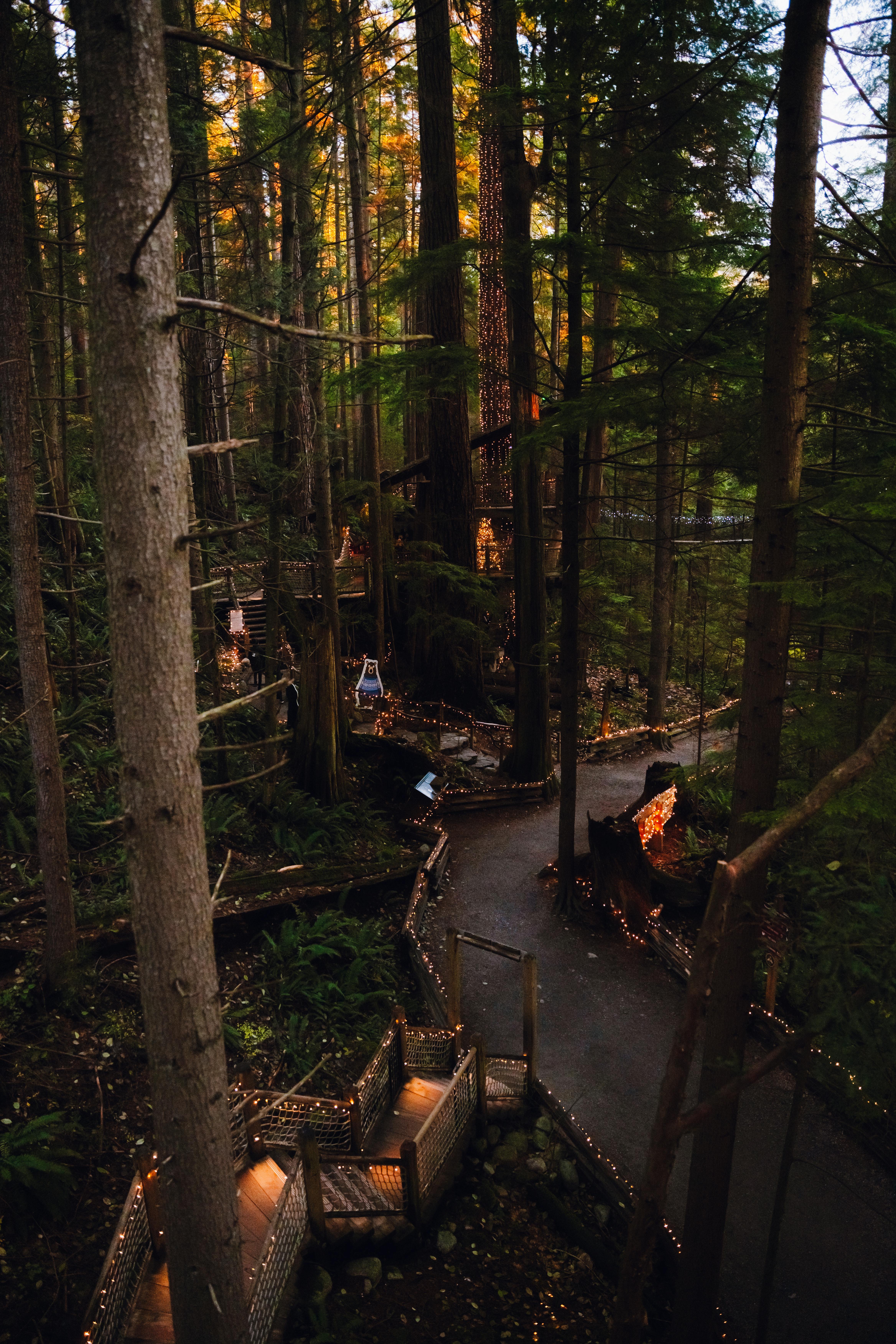 2 Paths Photos, Download The BEST Free 2 Paths Stock Photos & HD Images