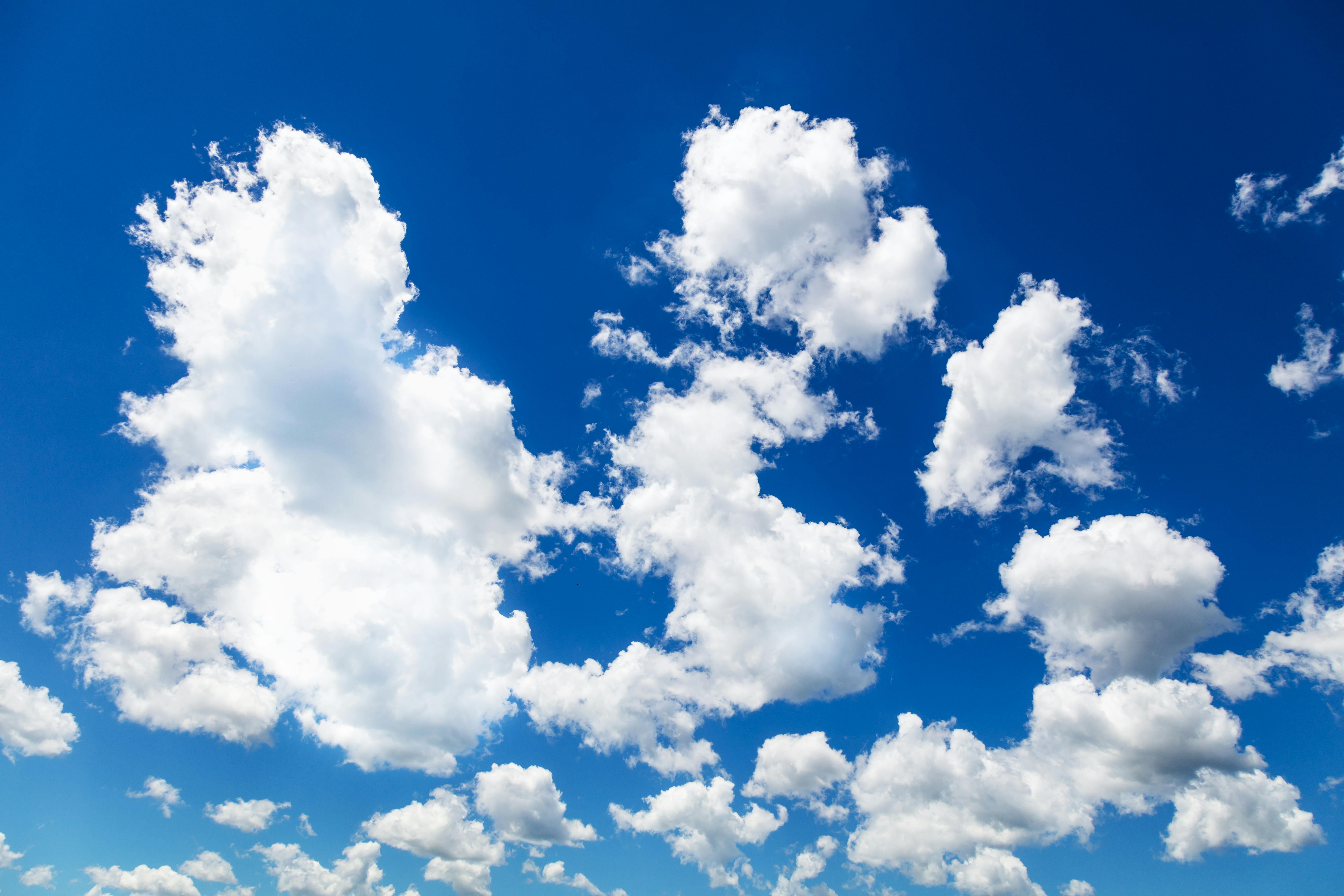 Introducing the AMD Developer Cloud — Photo by Jari Lobo on Pexels