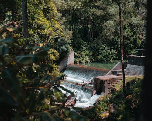 Waterfall in a Tropical Forest 