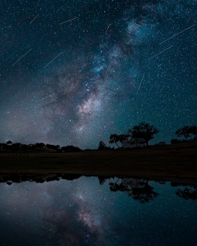 Silhouette Of Trees By The Lake At Night 