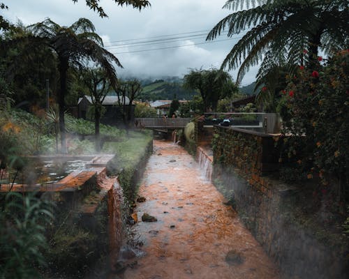 Stream in a Tropical Village 