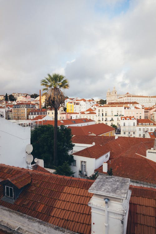 View from the Portas do Sol Viewpoint in Lisbon, Portugal 