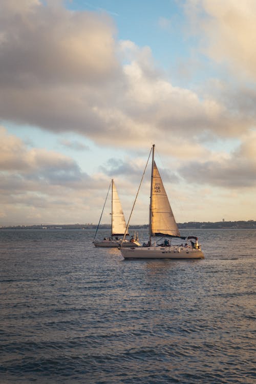 垂直拍攝, 帆船, 日落 的 免費圖庫相片