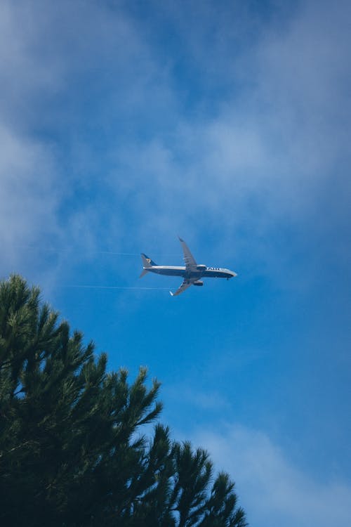 Airplane on Sky