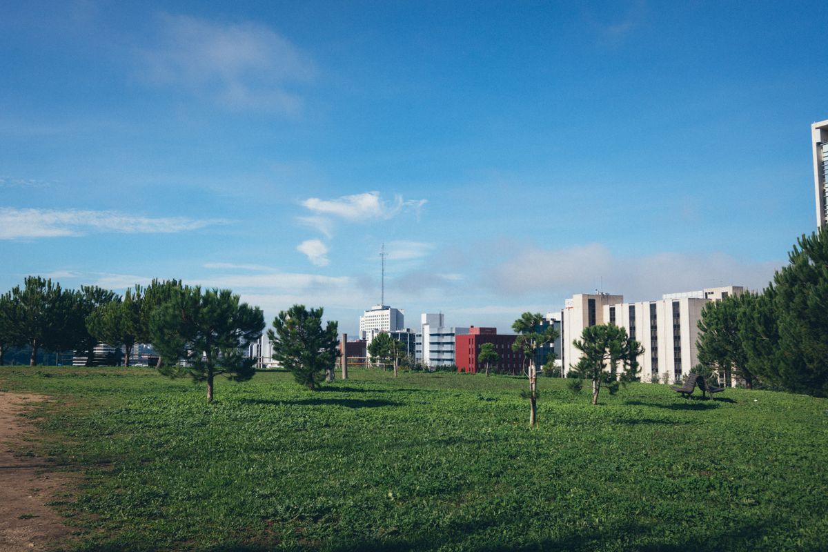 student moves in Tottenham Hale — Student Moves in Tottenham Hale — the working end of the job