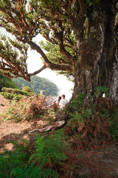 Couple Sitting Next to a Tree 