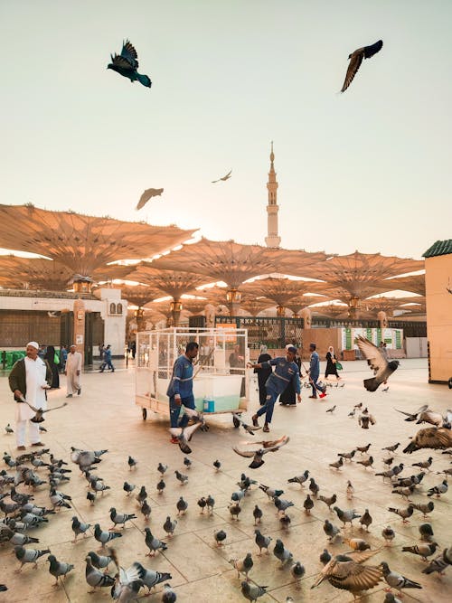 Passersby on a Sidewalk Near Medina Haram Piazza Occupied by a Flock of Pigeons