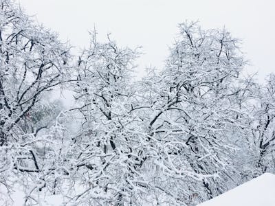 初五迎财神发朋友圈说说 初五迎财神发朋友圈的句子