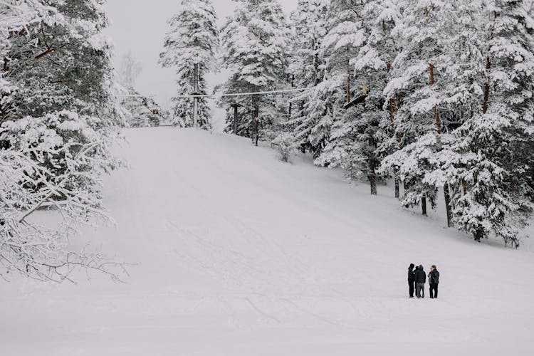 Group Of People In Winter Scenery