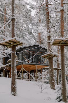 Cabaña en el bosque