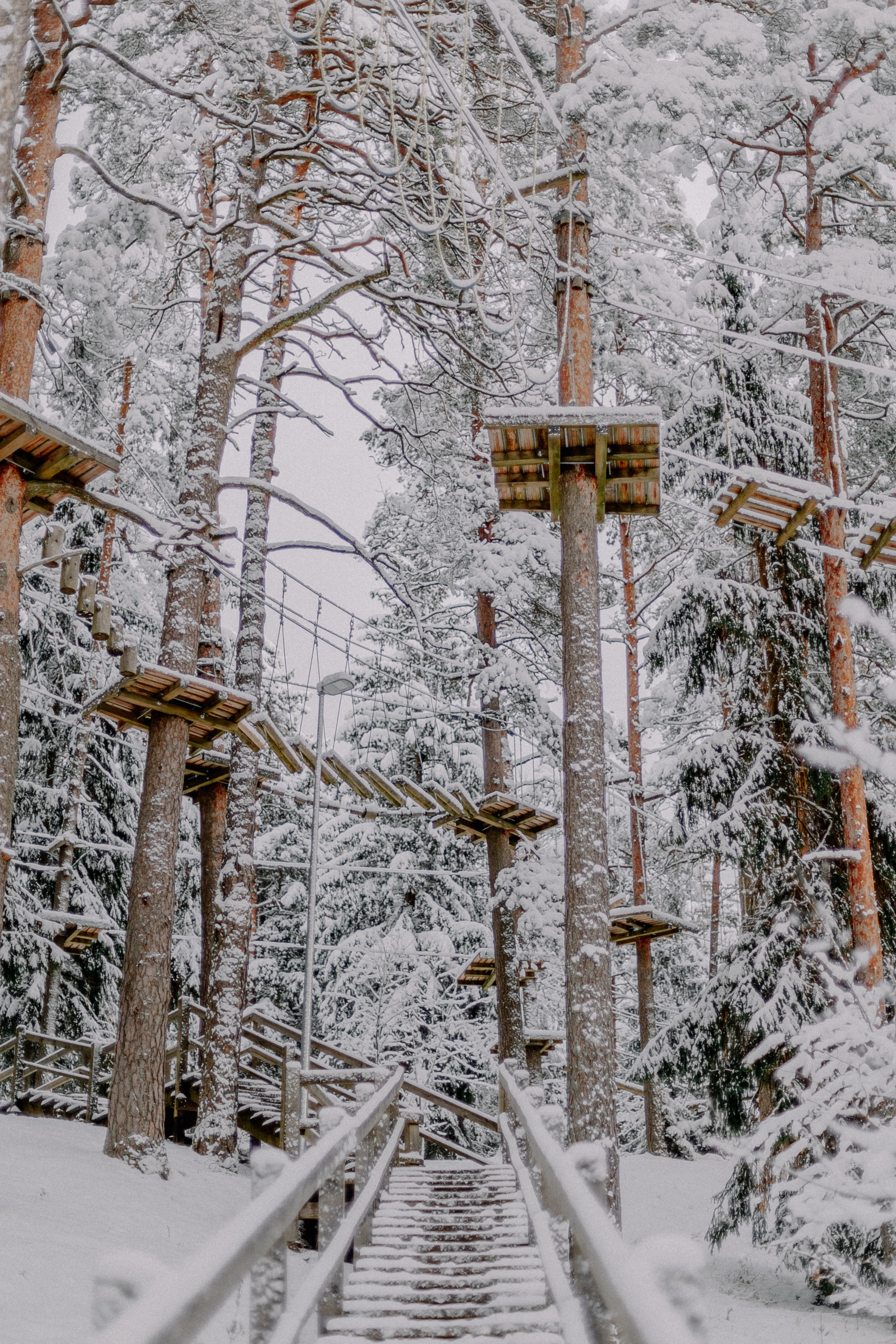 Aerial Adventure Park in Snow · Free Stock Photo