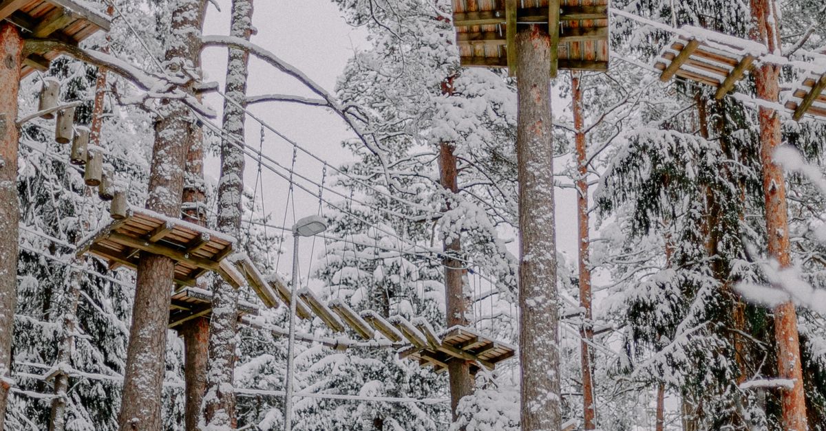 Snow Adventure Course Aerial Adventure Park in Snow · Free Stock Photo