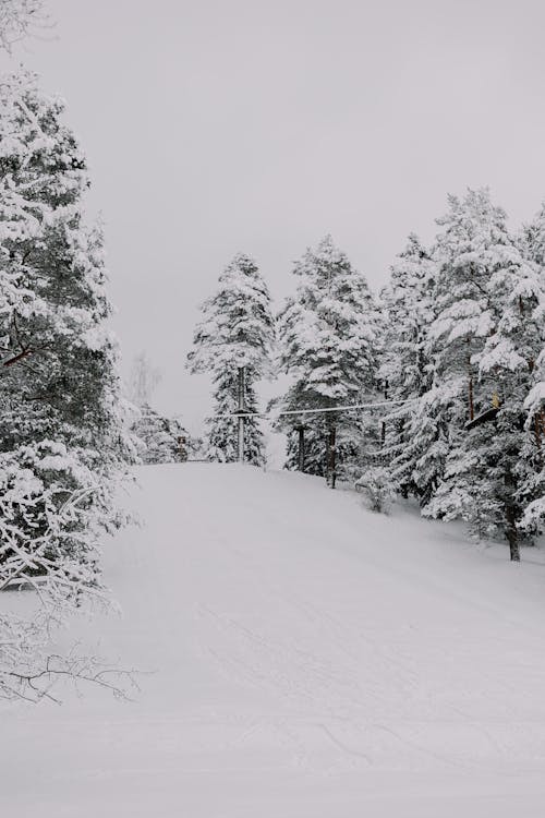 Slope in Snow