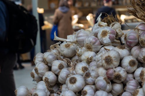 Imagine de stoc gratuită din alhos, alimento, ingredientes