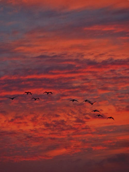 Clouds in the Sky During Sunset 