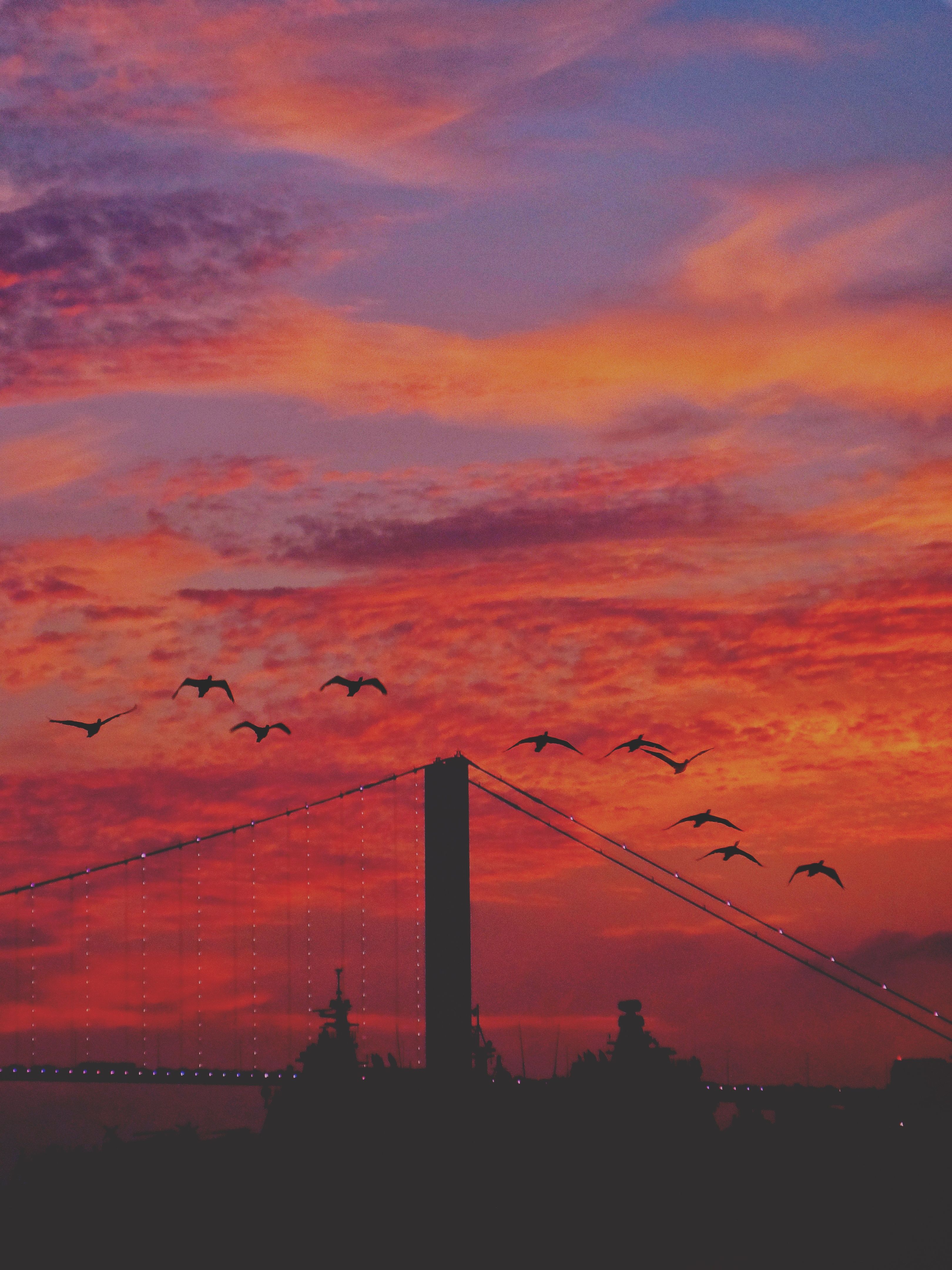 Silhouette of a Suspension Bridge During Sunset · Free Stock Photo