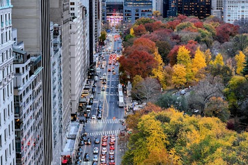 central park içeren Ücretsiz stok fotoğraf