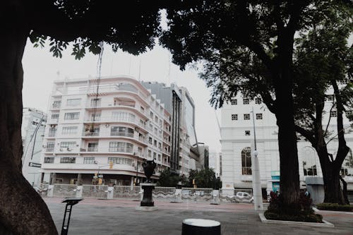 Foto stok gratis bangku, bangunan, ekuador