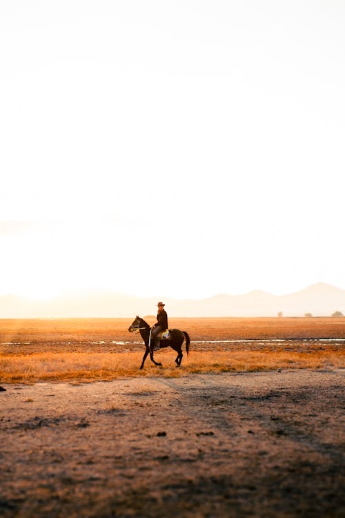 Cowboy on a Field