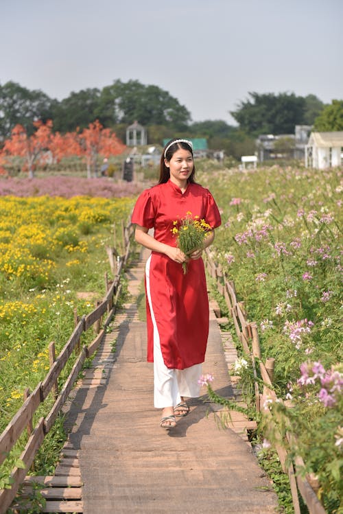 Imagine de stoc gratuită din brunetă, câmp de flori, femeie asiatică