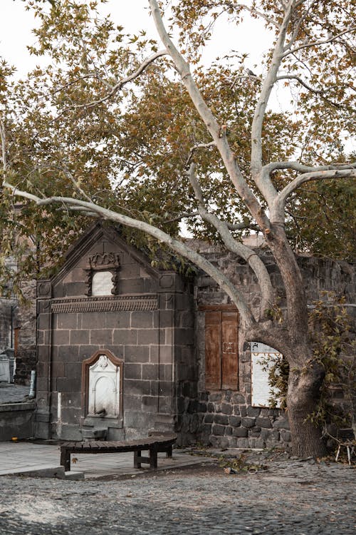 Exterior of an Old Building in Autumn 