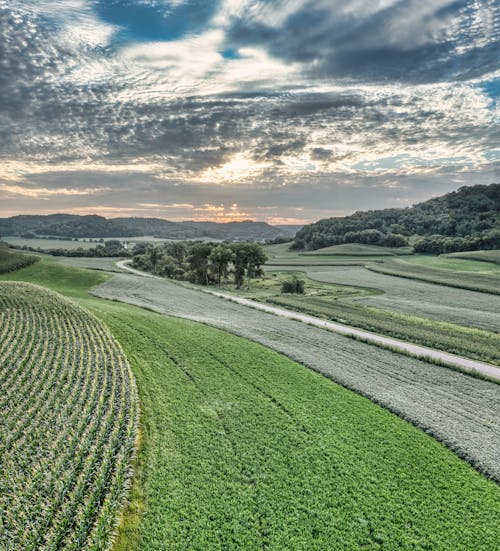 Fotobanka s bezplatnými fotkami na tému croplands, dedinský, hracie polia