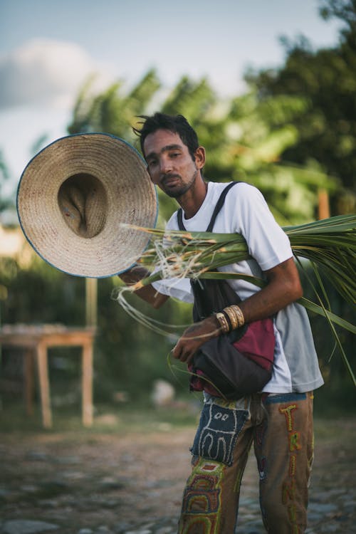 Imagine de stoc gratuită din activități agricole, agricultură, câmp