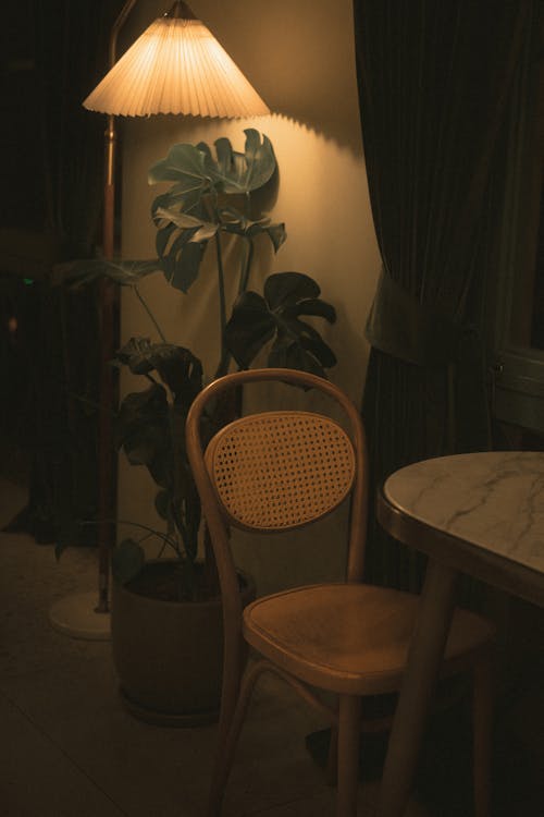 Foto d'estoc gratuïta de cadira, cortines, interior