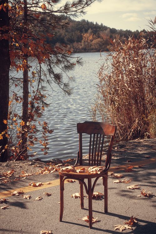 Free A solitary wooden chair amidst fallen leaves by a serene river in Ankara, Türkiye. Stock Photo