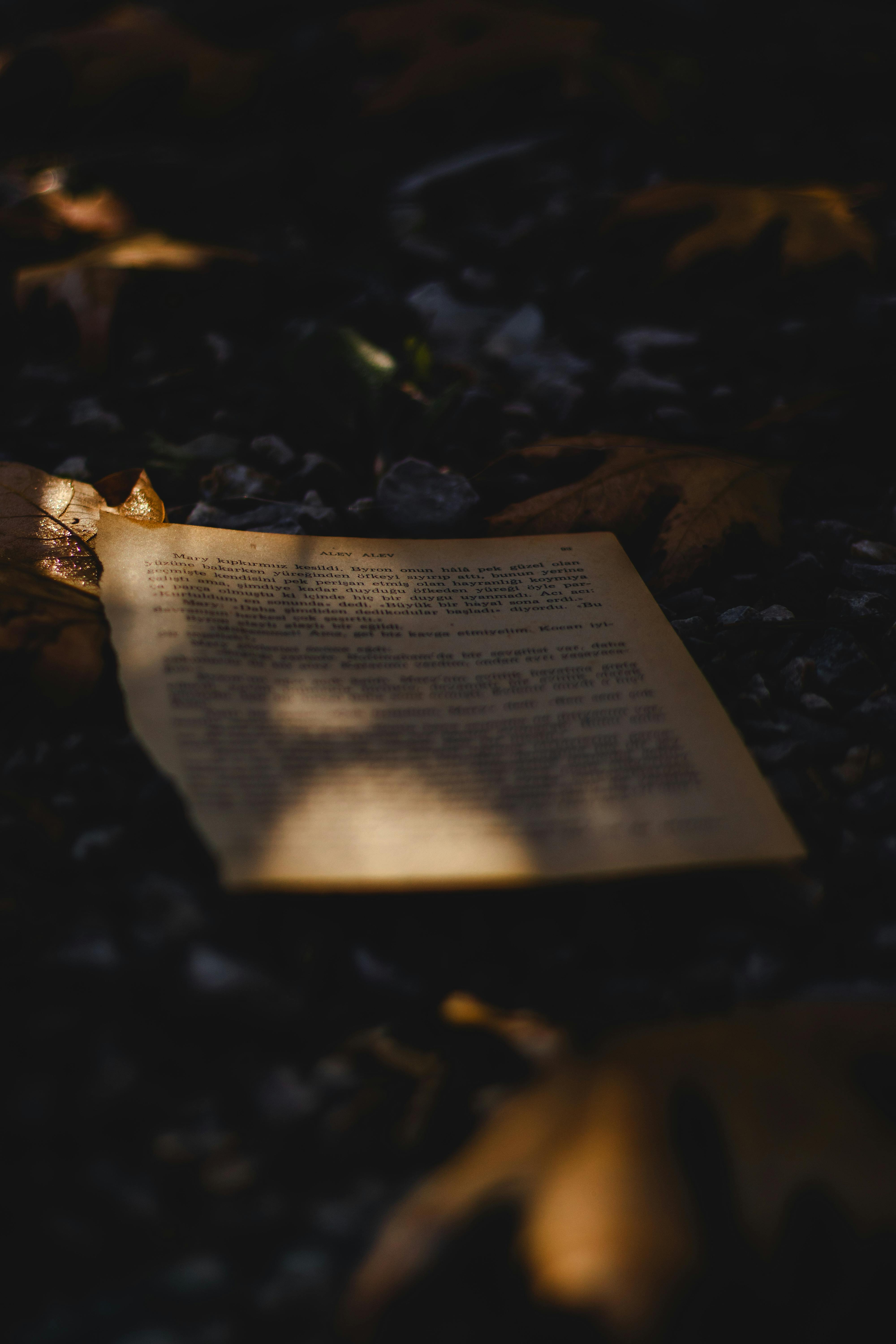 A torn book page lies mysteriously in a dark, shadowy forest in Ankara, Türkiye.