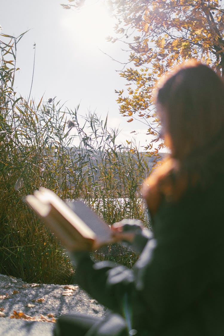 Defocused Photo Of A Woman Sitting Outside And Reading A Book 