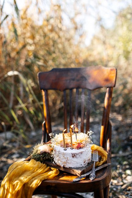 A rustic birthday cake with candles sits on a wooden chair outdoors, surrounded by nature.