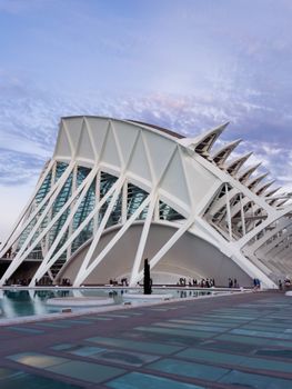 Explore the futuristic design of Valencia's Science Museum, a landmark in Spain.