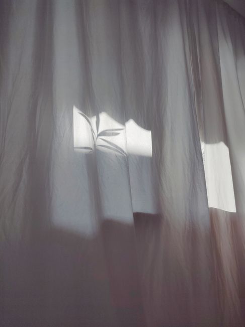 Sunlight casts soft shadows through a white curtain, creating a tranquil indoor atmosphere.