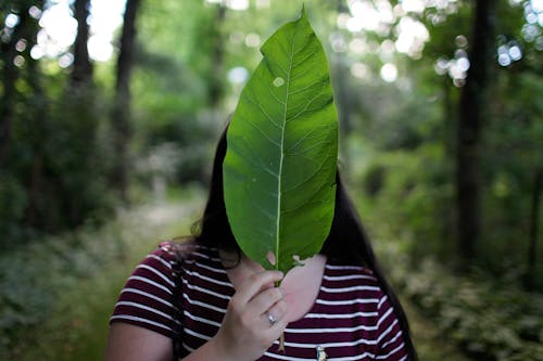 Mulher Segurando Uma Folha Verde