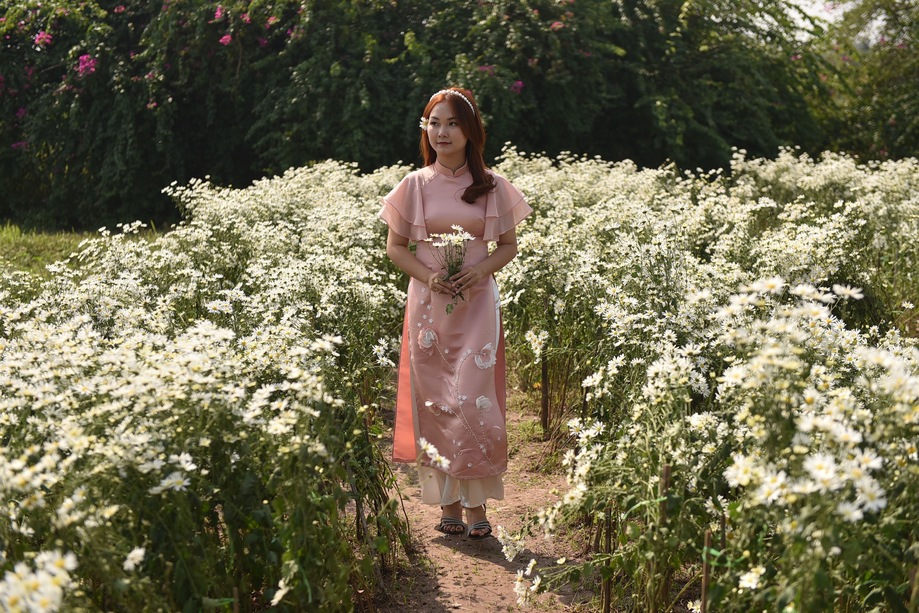 Woman in Pink Dress Standing among Flowers · Free Stock Photo