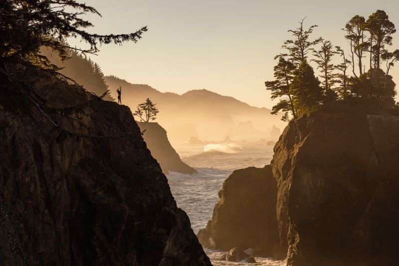 Misty Pacific Northwest forest headland at golden hour