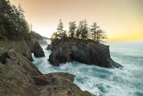 Landscape with a Rough Sea, and Trees on the Cliffs