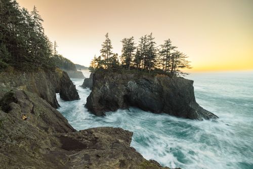 Free Scenic view of rugged coastal cliffs with coniferous trees and crashing waves at sunrise. Stock Photo
