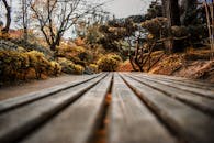 Brown Wooden Bench Near Bare Trees