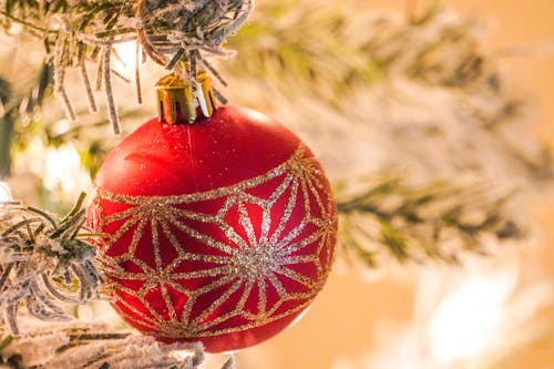 매달린, 빨간, 크리스마스의 무료 스톡 사진