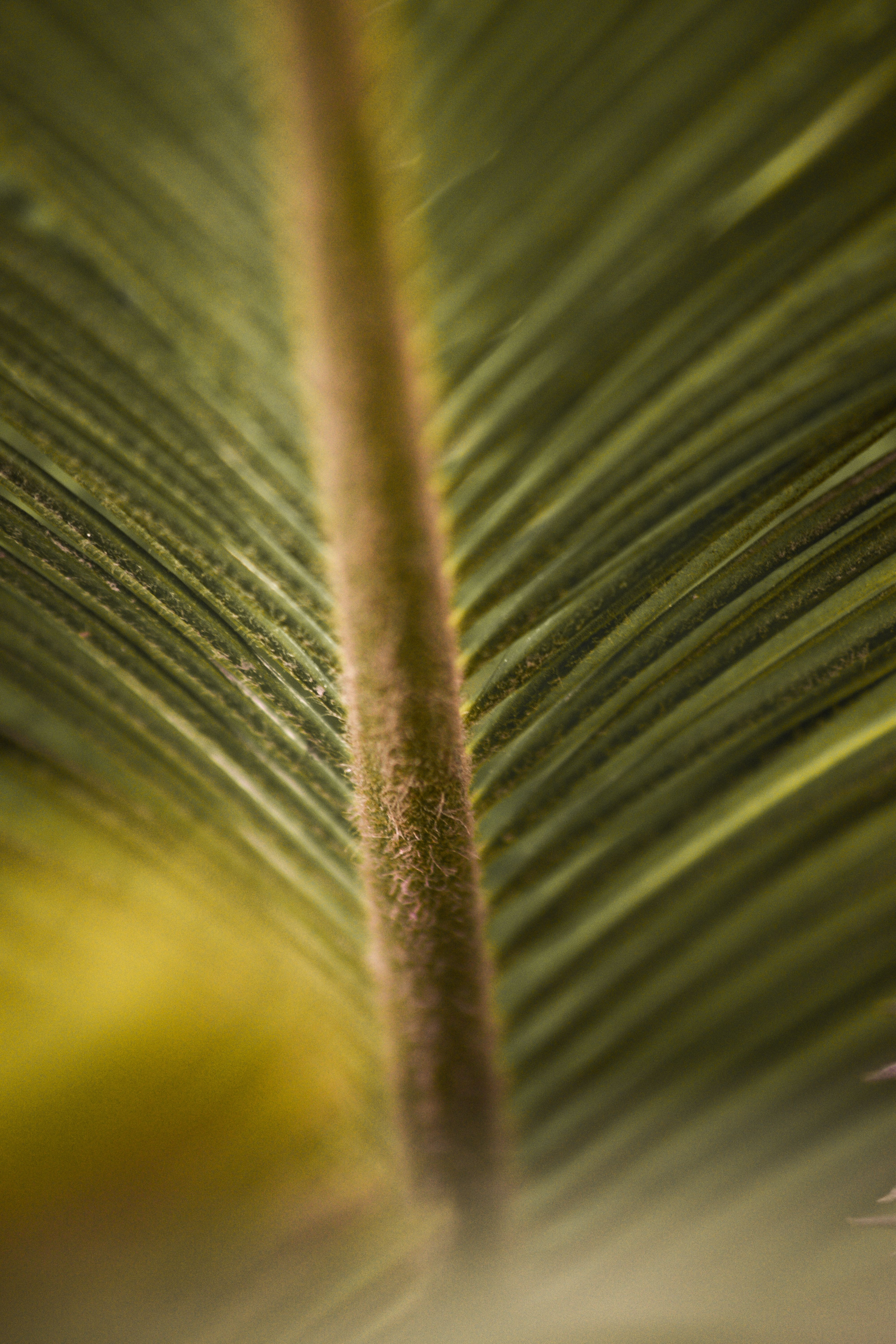 Photo by Ayush Bali on pexels