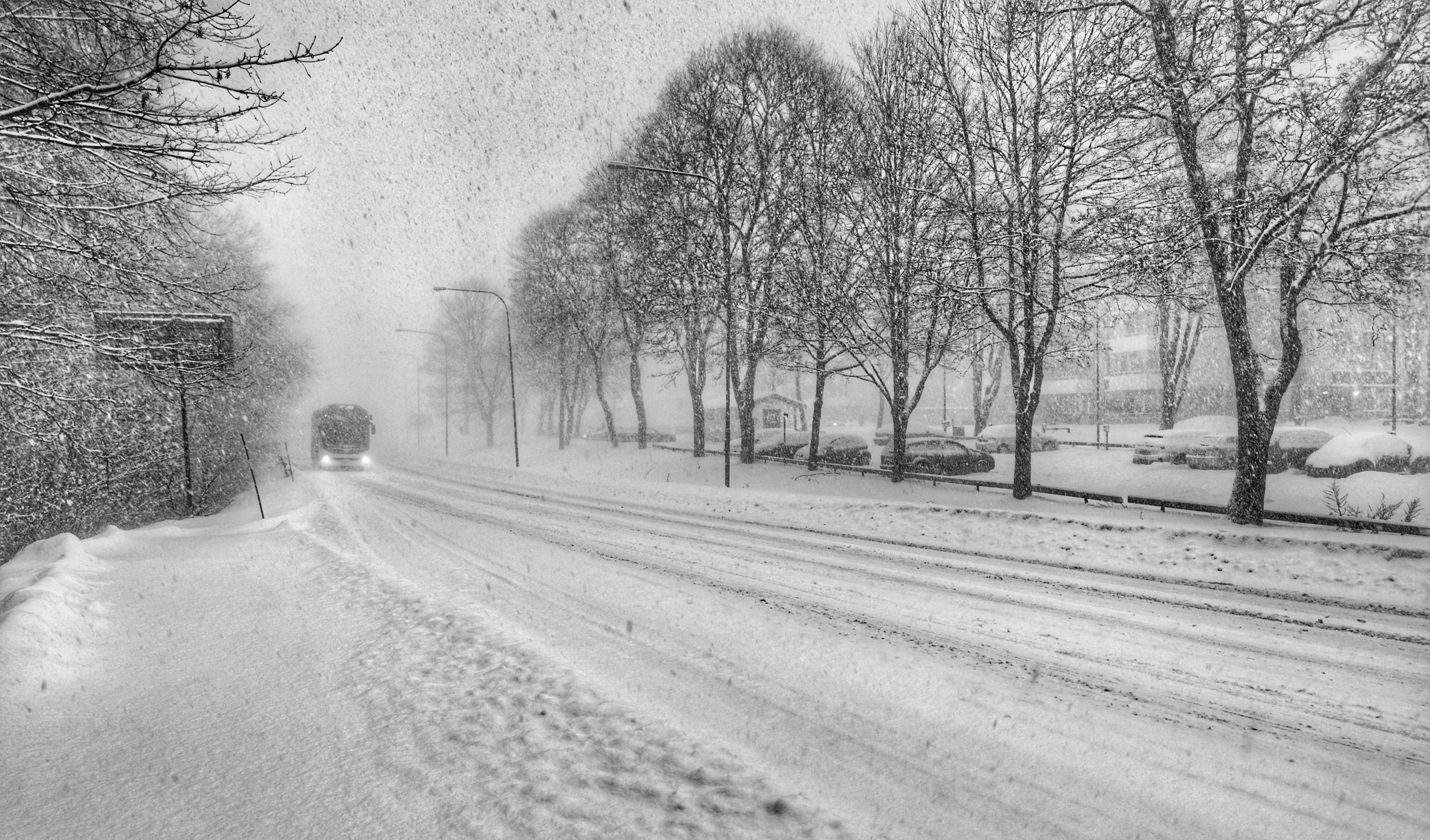 Vinterlig vei medis og snø
