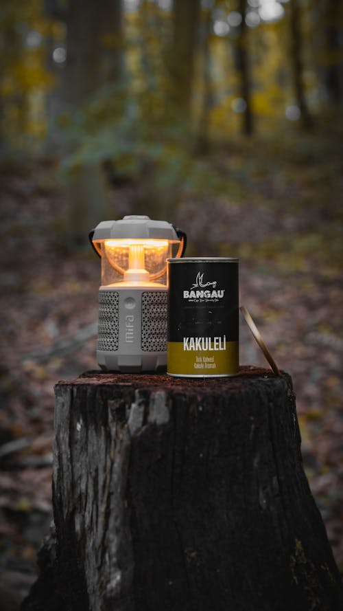 Box of Coffee and Camping Lamp on Tree Trunk