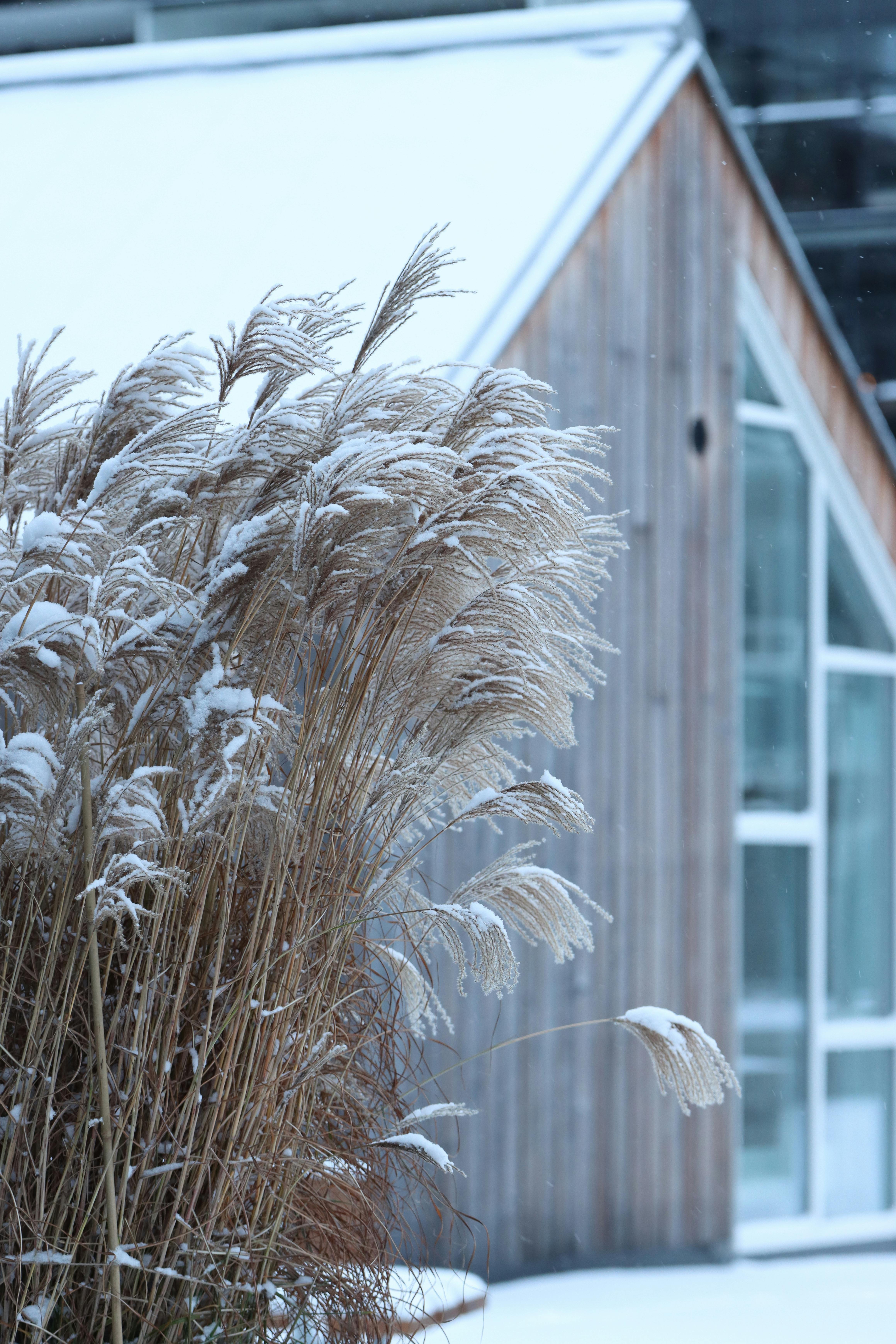 nike dunk november rain